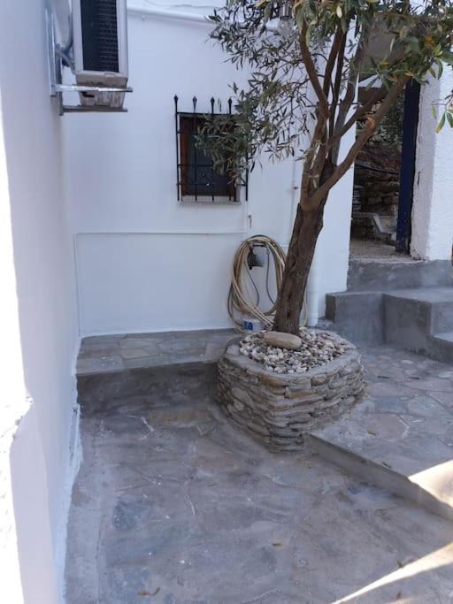 Grandpa Simos' Traditional Guest House Agios Romanos Exteriér fotografie