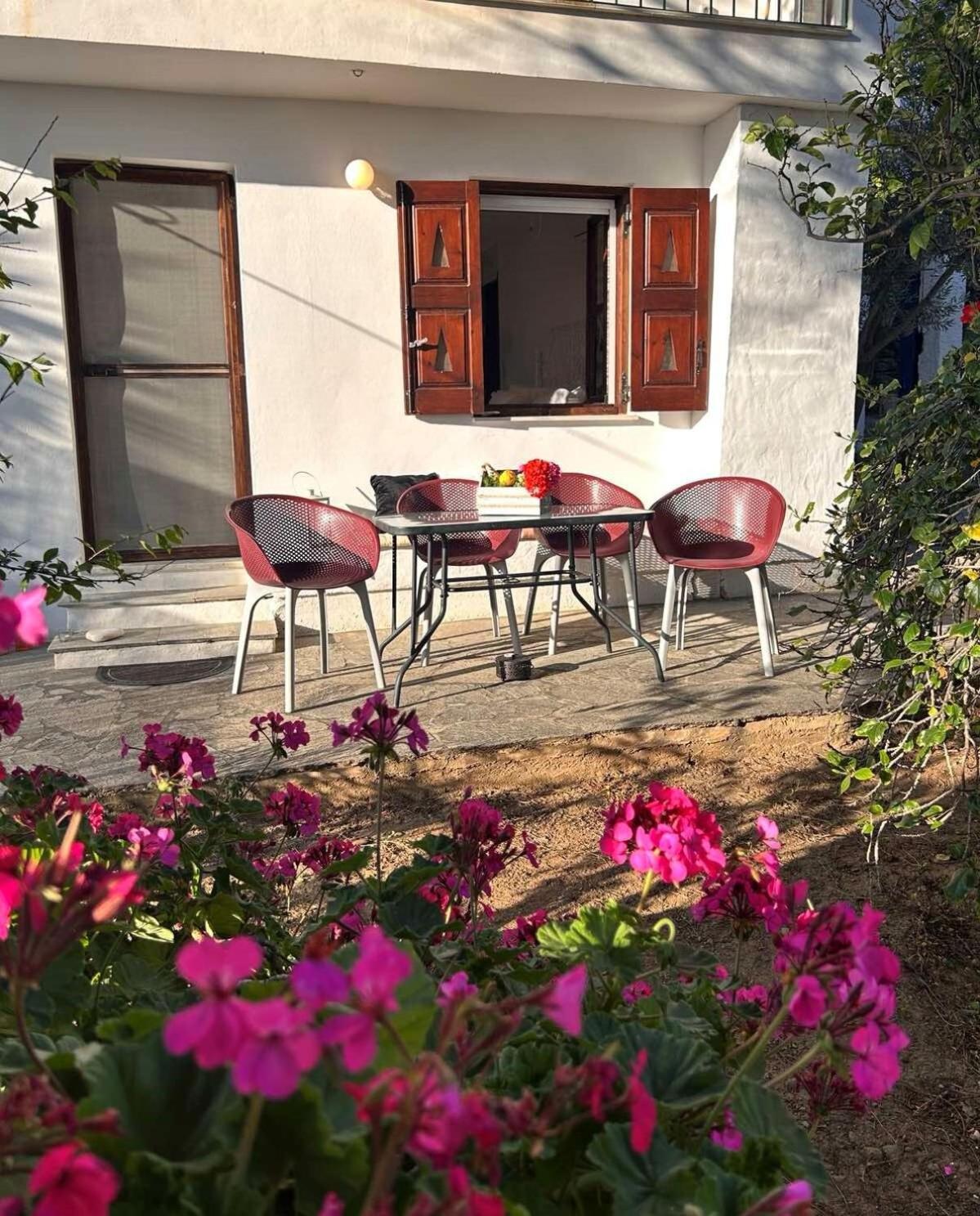 Grandpa Simos' Traditional Guest House Agios Romanos Exteriér fotografie
