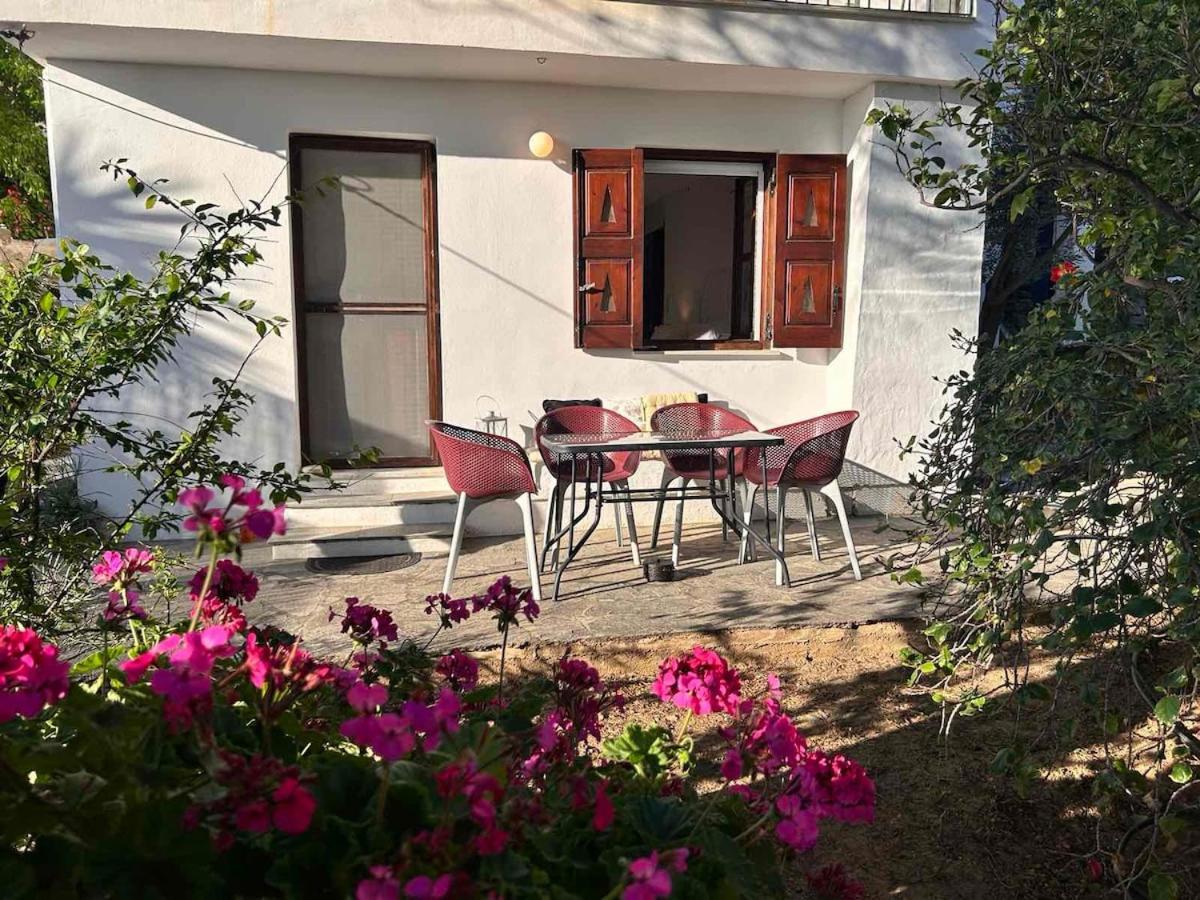 Grandpa Simos' Traditional Guest House Agios Romanos Exteriér fotografie