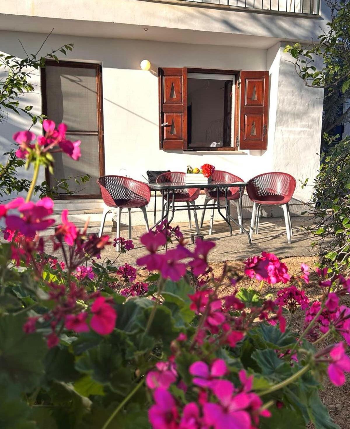 Grandpa Simos' Traditional Guest House Agios Romanos Exteriér fotografie