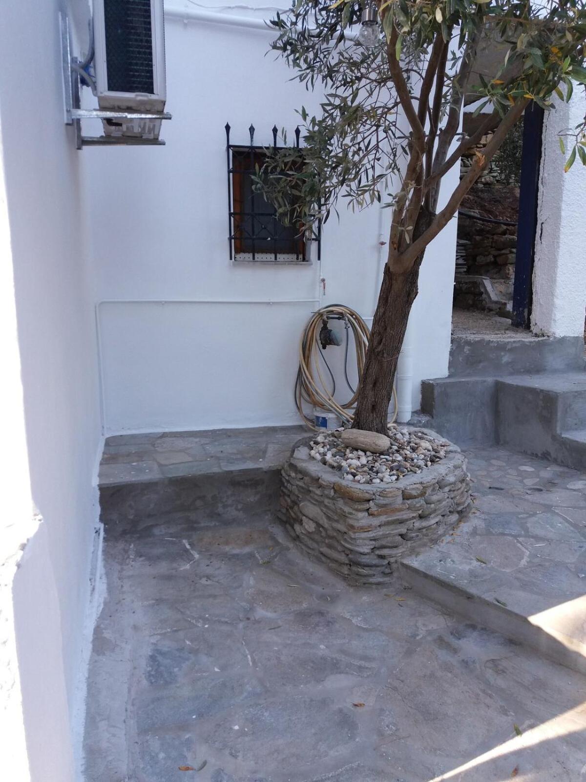 Grandpa Simos' Traditional Guest House Agios Romanos Exteriér fotografie